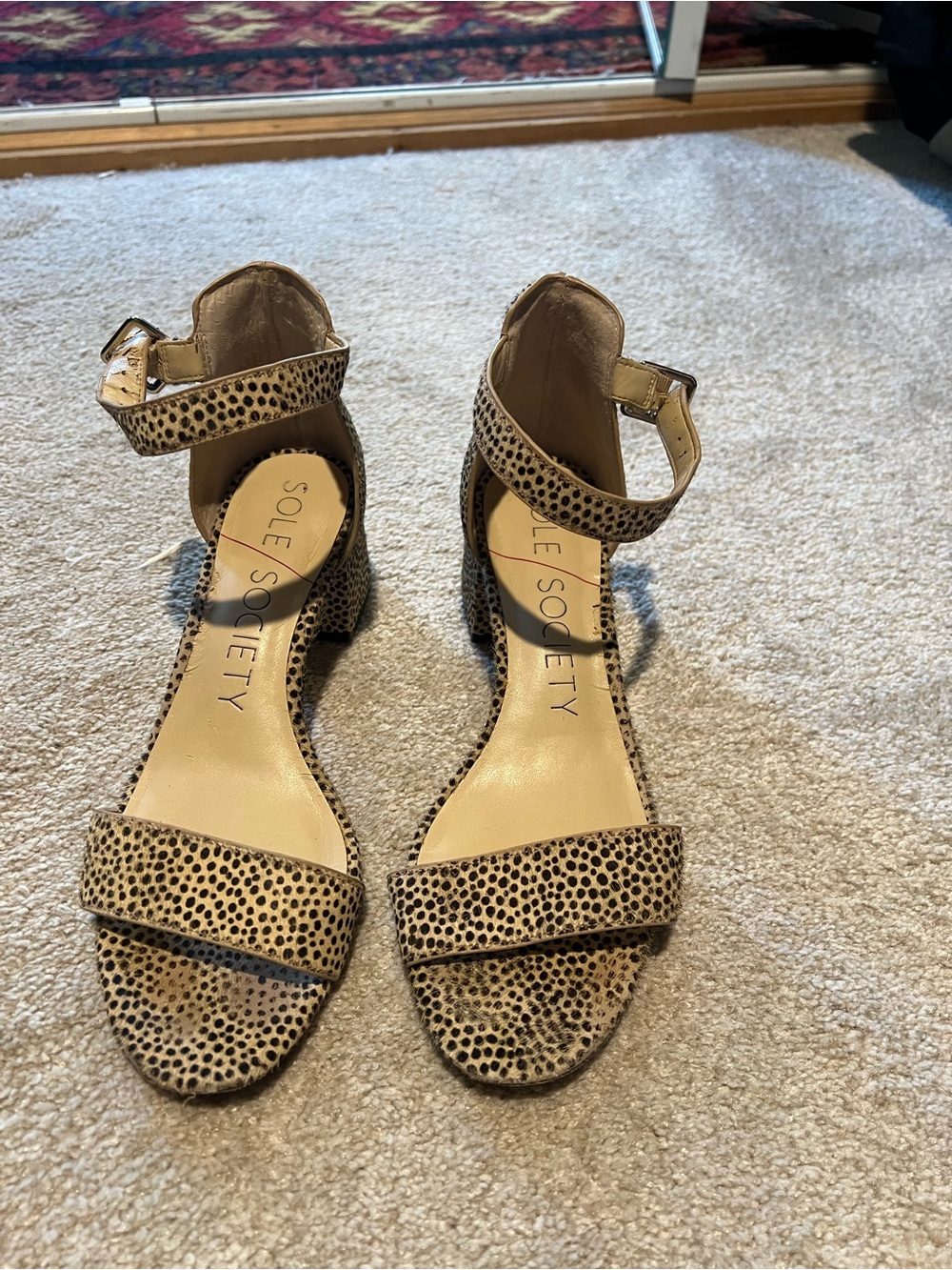 Leopard Print Ankle Strap Block Heel Sandals - Brown